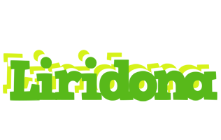 Liridona picnic logo