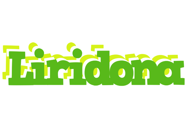 Liridona picnic logo