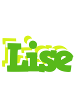 Lise picnic logo