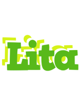 Lita picnic logo