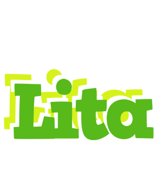 Lita picnic logo