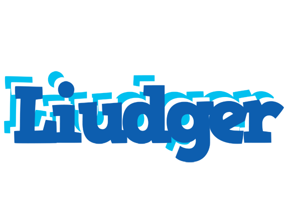 Liudger business logo