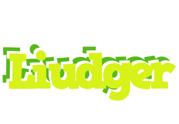 Liudger citrus logo