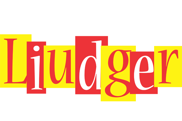 Liudger errors logo