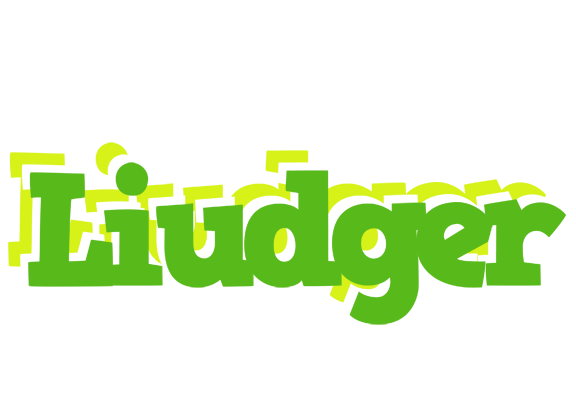 Liudger picnic logo