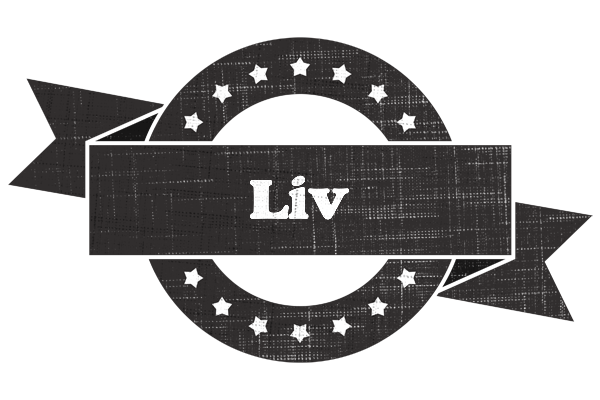 Liv grunge logo