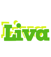 Liva picnic logo