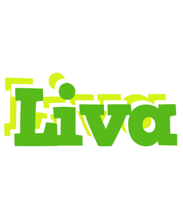Liva picnic logo