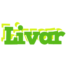 Livar picnic logo