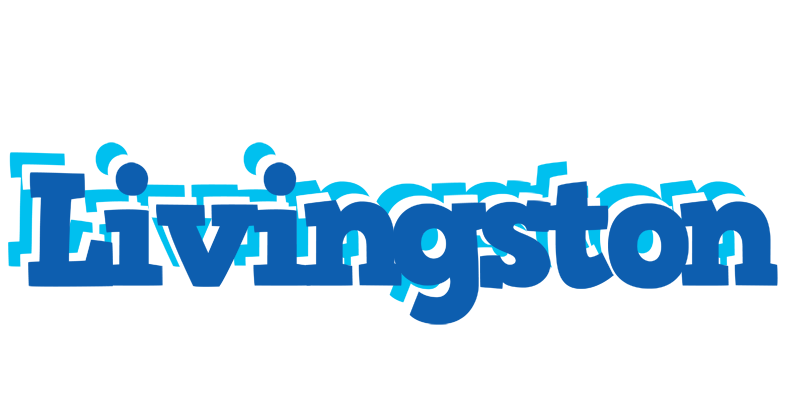 Livingston business logo