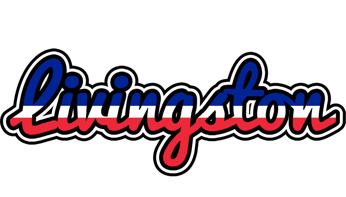 Livingston france logo