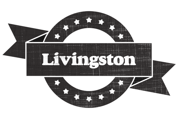 Livingston grunge logo