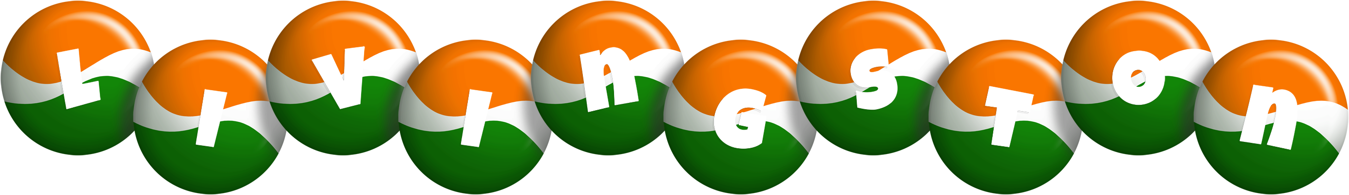 Livingston india logo