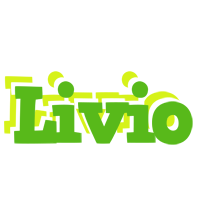 Livio picnic logo