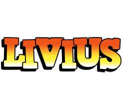 Livius sunset logo