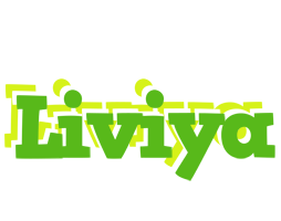 Liviya picnic logo