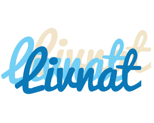 Livnat breeze logo