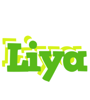 Liya picnic logo