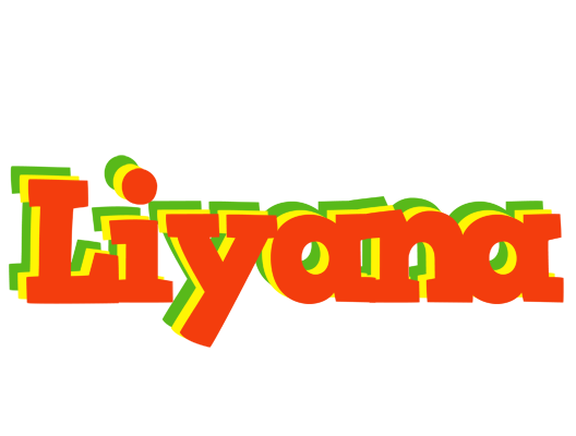 Liyana bbq logo