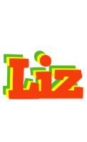 Liz bbq logo
