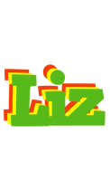 Liz crocodile logo