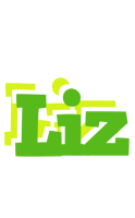 Liz picnic logo