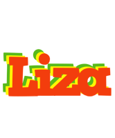 Liza bbq logo