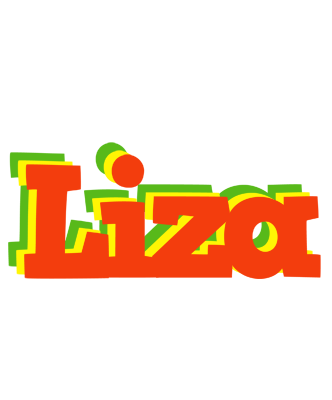 Liza bbq logo