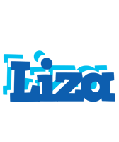 Liza business logo