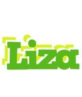 Liza picnic logo