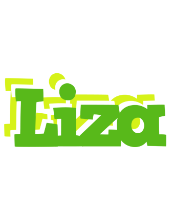Liza picnic logo