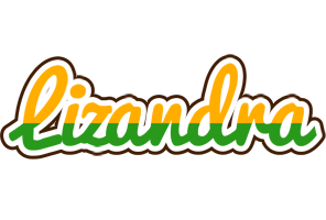 Lizandra banana logo