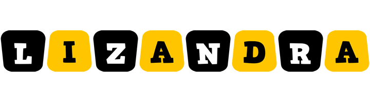 Lizandra boots logo
