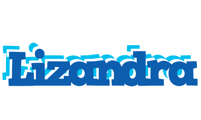 Lizandra business logo