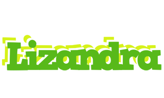 Lizandra picnic logo