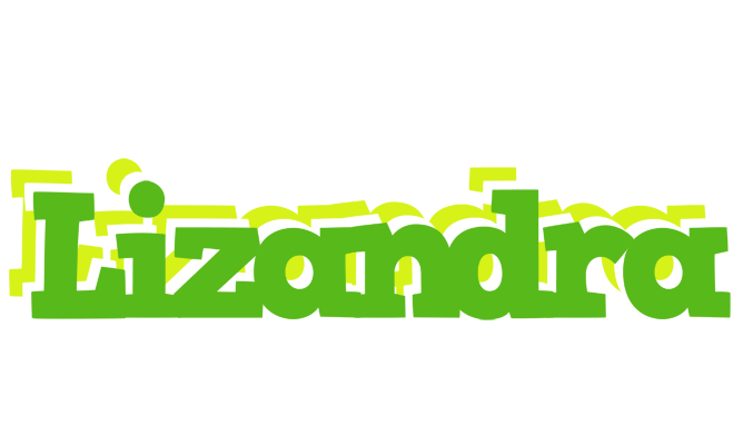 Lizandra picnic logo