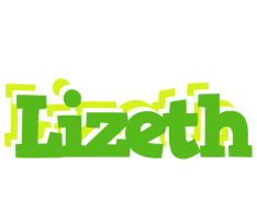 Lizeth picnic logo