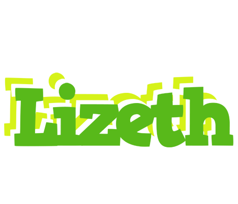 Lizeth picnic logo