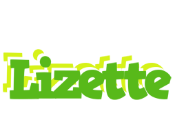 Lizette picnic logo