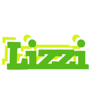Lizzi picnic logo
