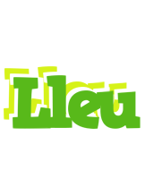 Lleu picnic logo