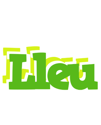 Lleu picnic logo