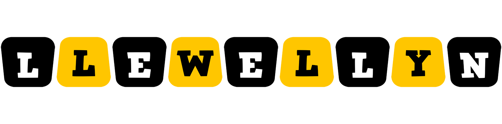 Llewellyn boots logo