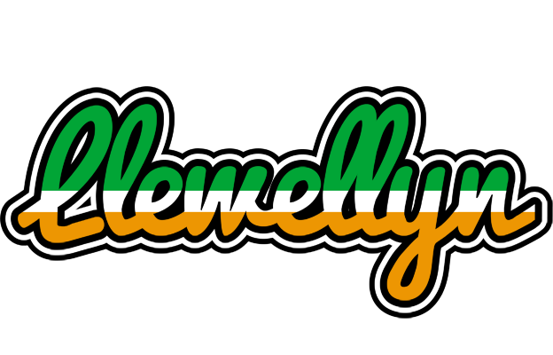 Llewellyn ireland logo