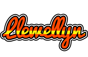 Llewellyn madrid logo