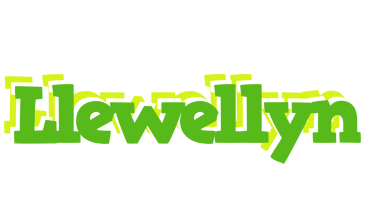 Llewellyn picnic logo