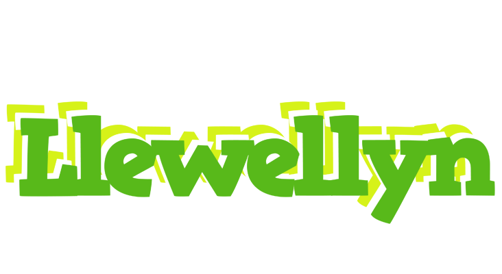 Llewellyn picnic logo
