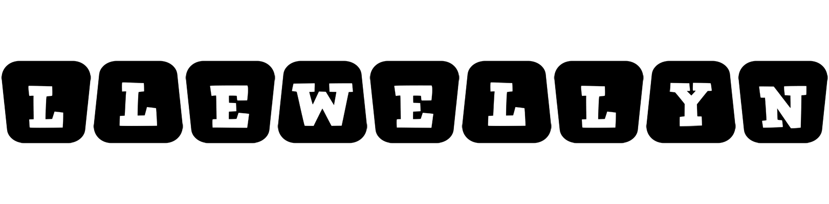 Llewellyn racing logo