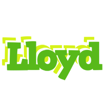 Lloyd picnic logo