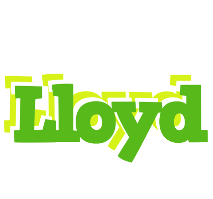 Lloyd picnic logo